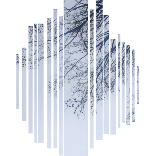 sarah hoenicke flores